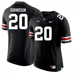 Men's Football #20 Ohio State Buckeyes Davison Igbinosun Alumni Jersey - Black