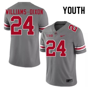 Youth Football #24 Ohio State Sam Williams-Dixon Alumni Jersey - Grey