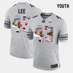 Youth(Kids) Pictorial Gridiron Fashion Ohio State #43 Pictorital Gridiron Fashion Darron Lee college Jersey - Gray