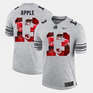 Men's Pictorital Gridiron Fashion #13 OSU Buckeyes Pictorial Gridiron Fashion Eli Apple college Jersey - Gray