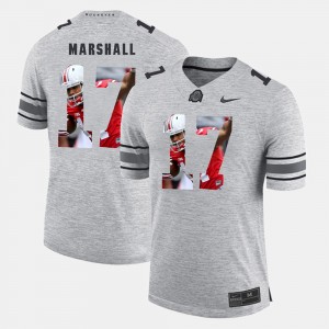 Men's #17 Ohio State Buckeyes Pictorial Gridiron Fashion Pictorital Gridiron Fashion Jalin Marshall college Jersey - Gray