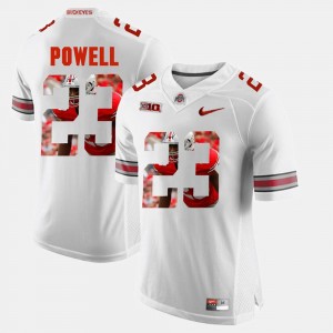 Mens Pictorial Fashion Ohio State Buckeye #23 Tyvis Powell college Jersey - White